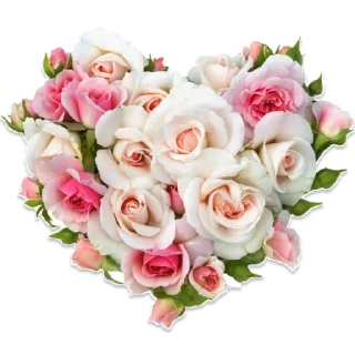 ❤️