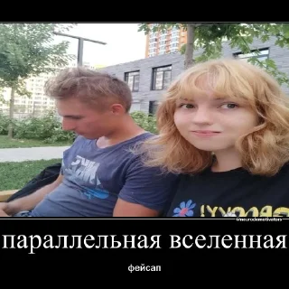 🙀