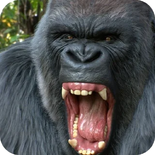 Gorilla ➩ @Earth928B