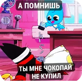 🐱