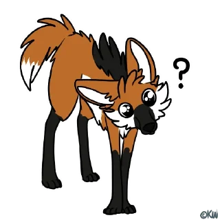 ❓