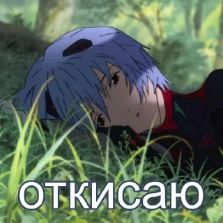 💤