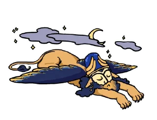 😴