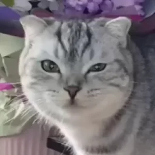 😬