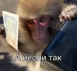 🤨