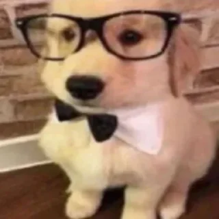 🤓