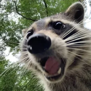 😮