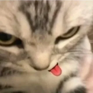 😏