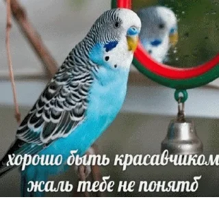 😎