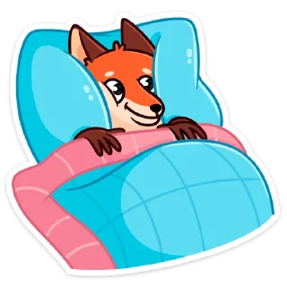 😴