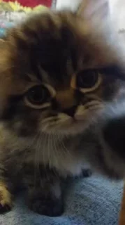 😊