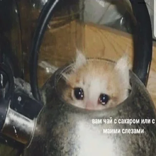 😥