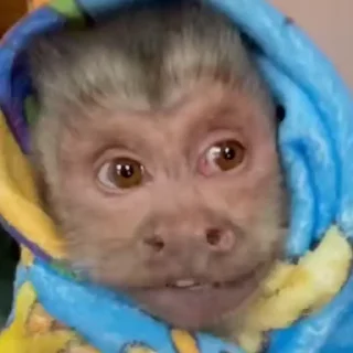 🙂