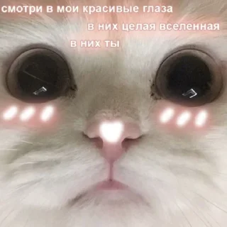 🥰