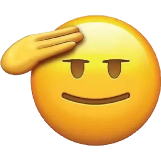 👨‍✈️