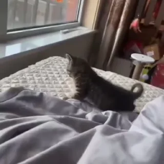 🥱
