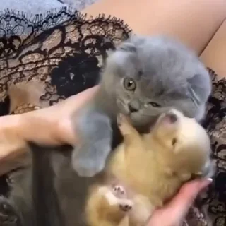 🥰