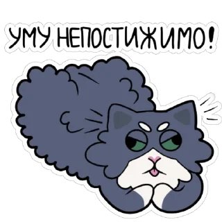😠
