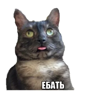 😜