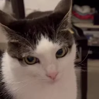 😒