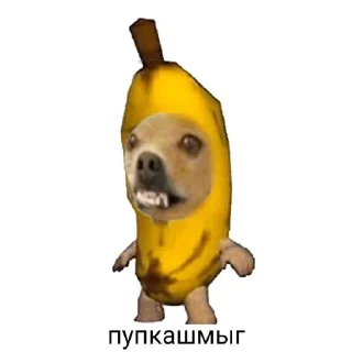 😛