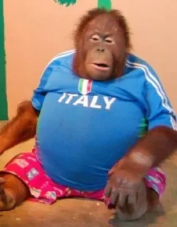 🇮🇹
