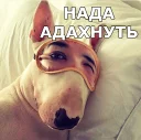 😴