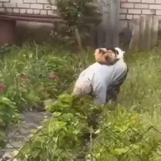 💼