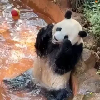 🥲