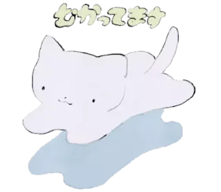 🐈‍⬛