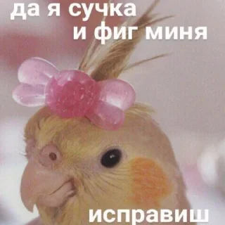 😏