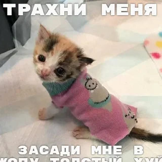 🥺