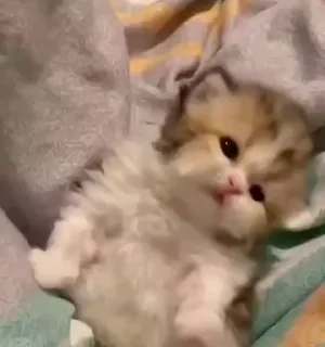 💋