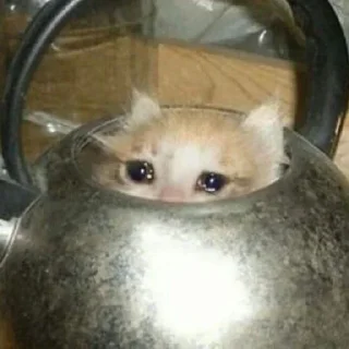 🥺