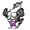 💪