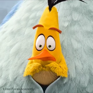 😯
