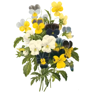 💐