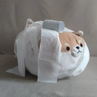 🧻