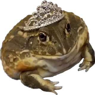 👑