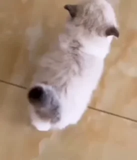 🏃