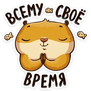 🙏