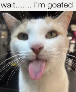 😛