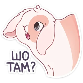 ❓
