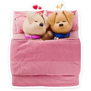 😴