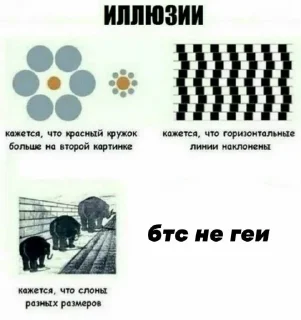 ✴️