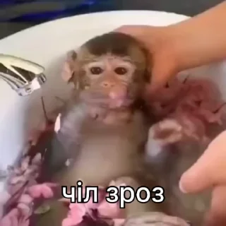 😌