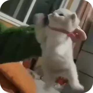 😠