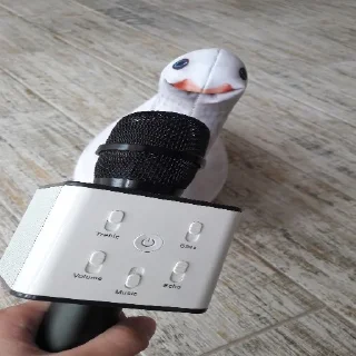 🎤