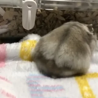 😒