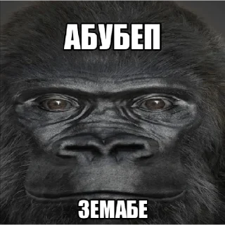 🦍